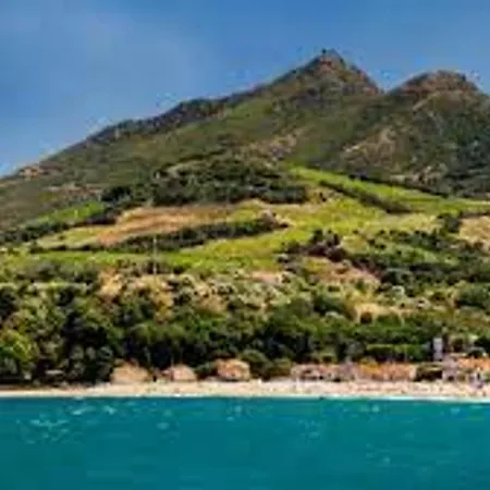 بيت للعطل Pavillon Climatise Avec Terrasse, 10 Min. De La Plage, Parking Privatif Inclus, Confort - Fr-1-732-45 أرجيليه- سور- مير