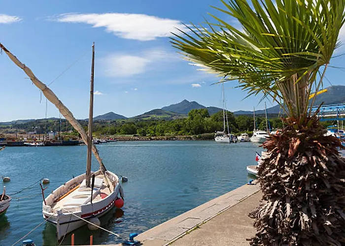 Pavillon Climatise Avec Terrasse, 10 Min. De La Plage, Parking Privatif Inclus, Confort - Fr-1-732-45 *